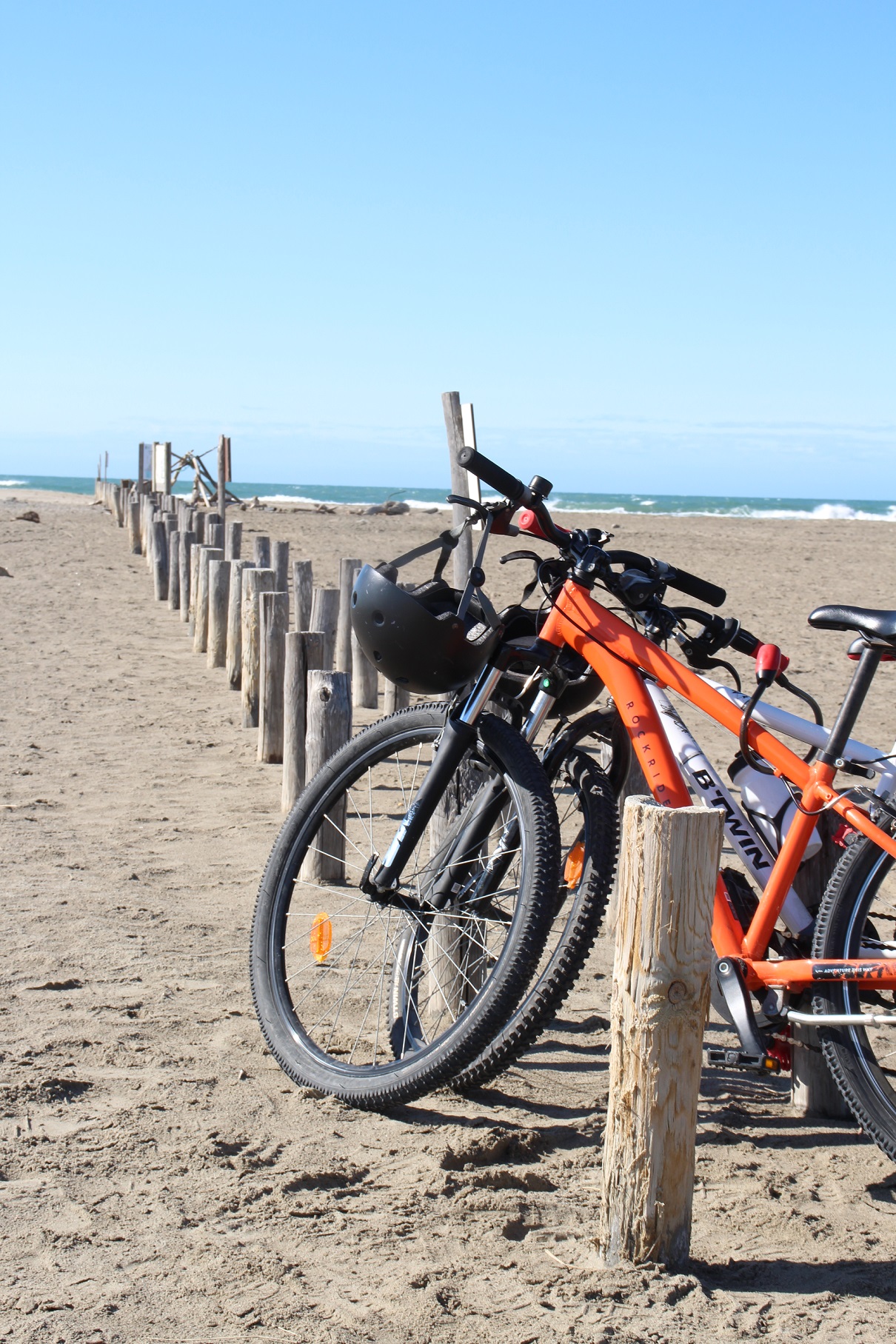 Sensibiliser, reconnaître et créer, les CM2 saintois réalisent des &laquo;&nbsp;aquariums secs&nbsp;&raquo; pour la fête de Port&nbsp;Gardian